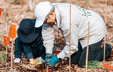 Volunteers helping with tree planting